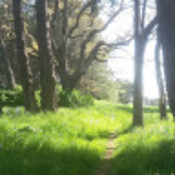 Meet your Posher, Claire - Picture 1 of 1